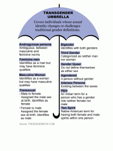 The transgender umbrella shows different ways that people identify themselves. 